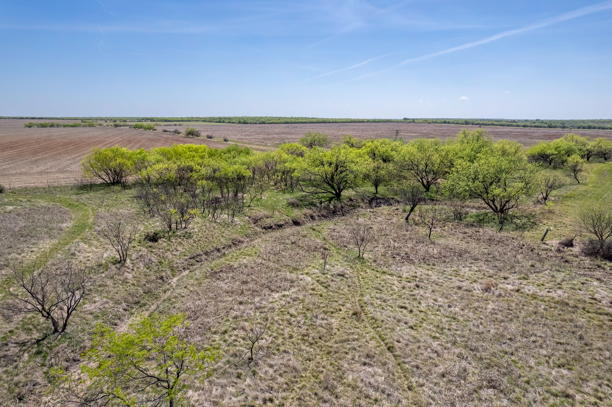 Tbd County Road 464 Coleman TX 76834