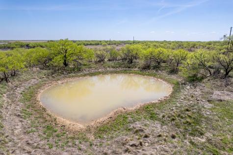 Tbd County Road 464 Coleman TX 76834