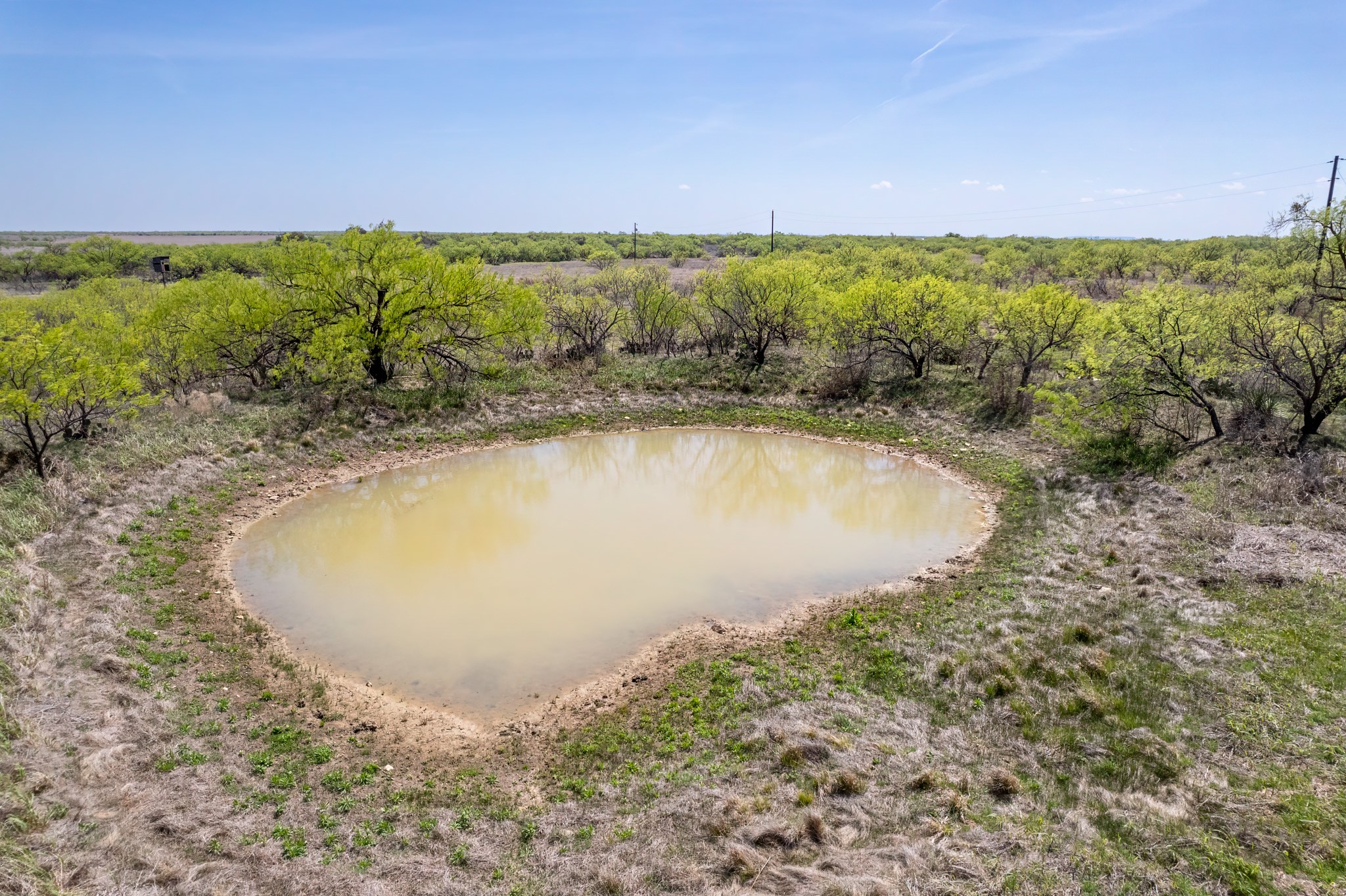 Tbd County Road 464 Coleman TX 76834