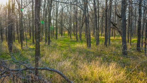 Tbd Camp Creek Road Temple TX 76501