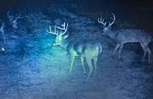Tbd Camp Creek Road Temple TX 76501
