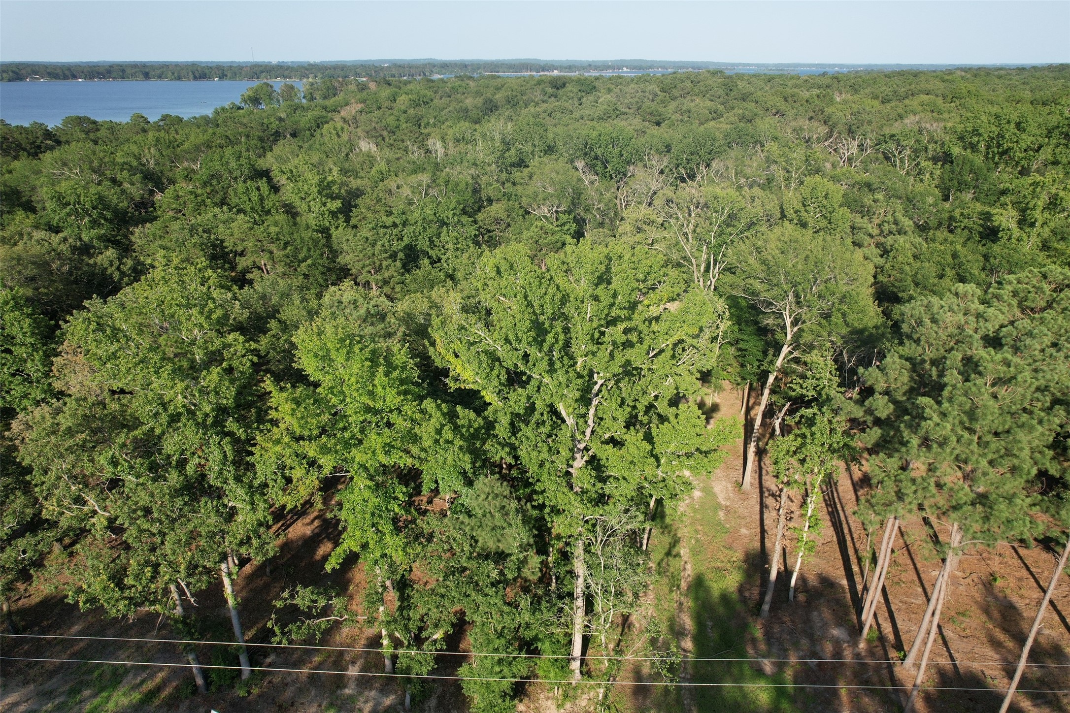 3226 Shadow Pine Drive Larue TX 75770