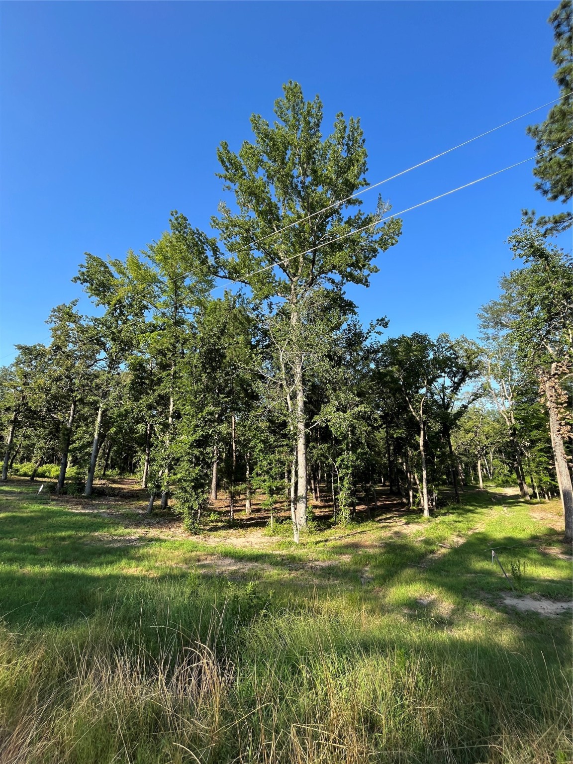 3226 Shadow Pine Drive Larue TX 75770