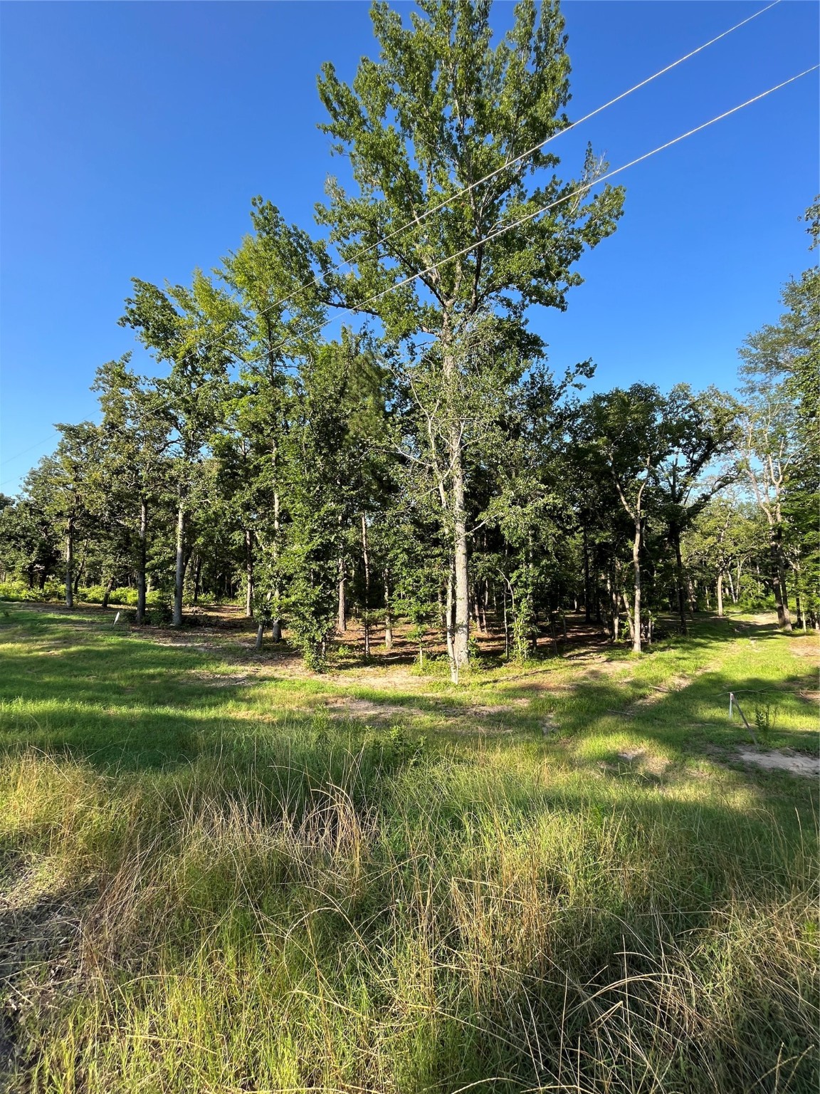 3226 Shadow Pine Drive Larue TX 75770