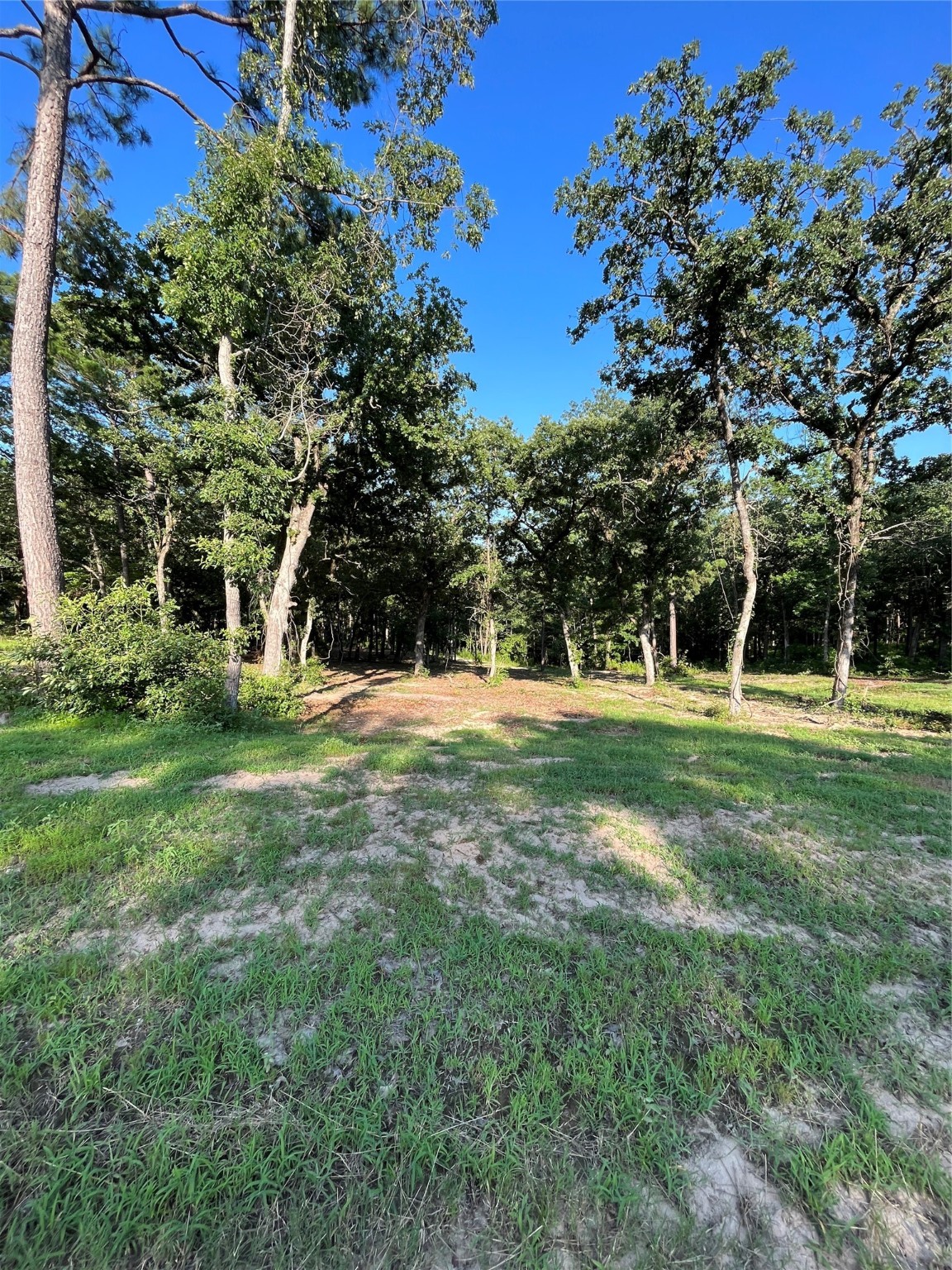 3226 Shadow Pine Drive Larue TX 75770