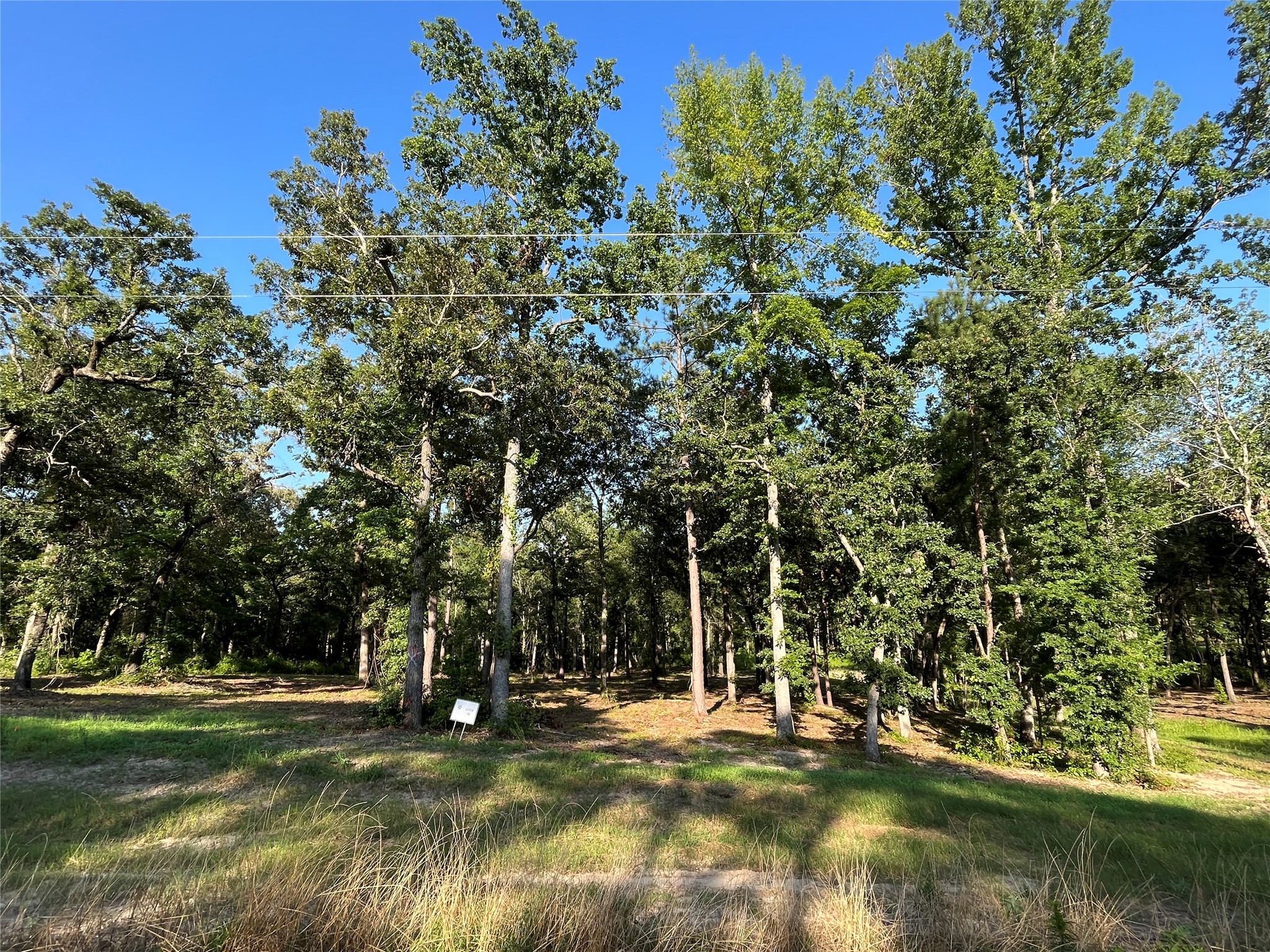 3226 Shadow Pine Drive Larue TX 75770