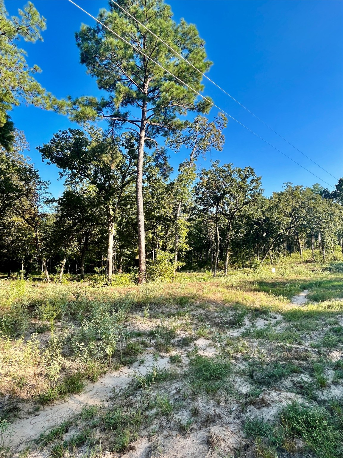3226 Shadow Pine Drive Larue TX 75770