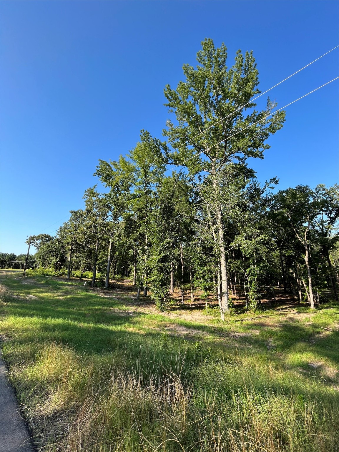 3226 Shadow Pine Drive Larue TX 75770