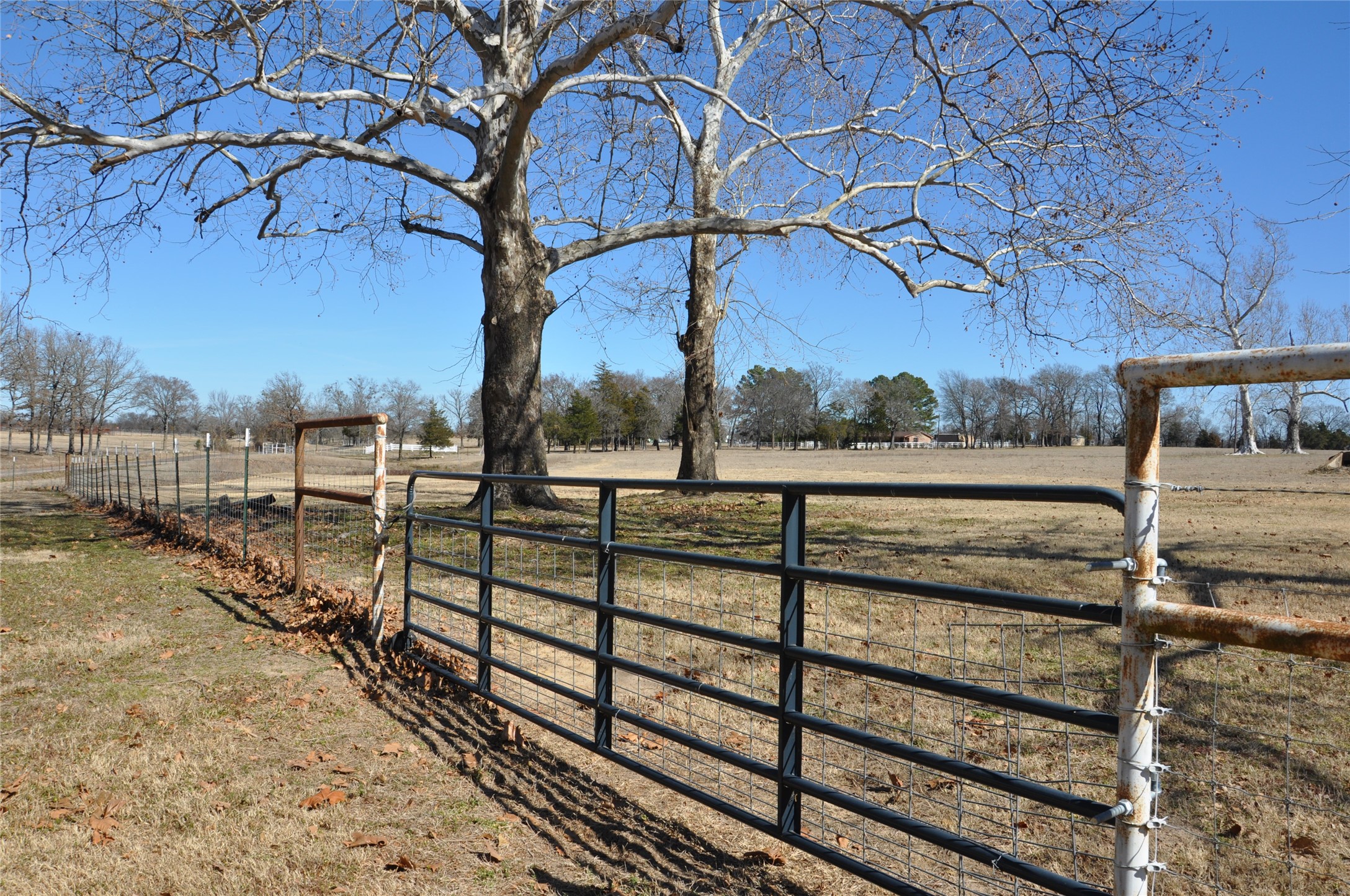 Tbd Cr 2428 Como TX 75431