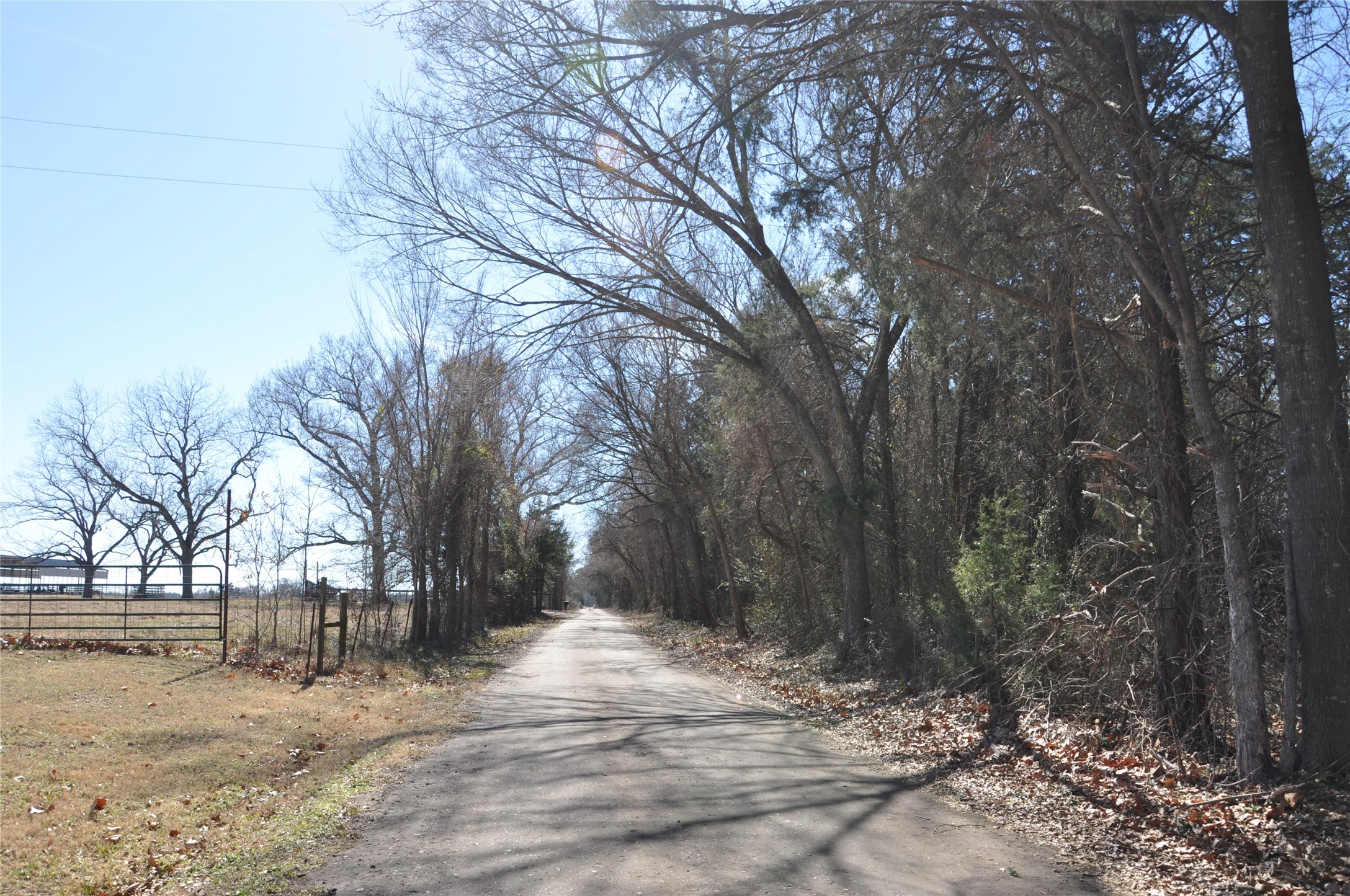 Tbd Cr 2428 Como TX 75431