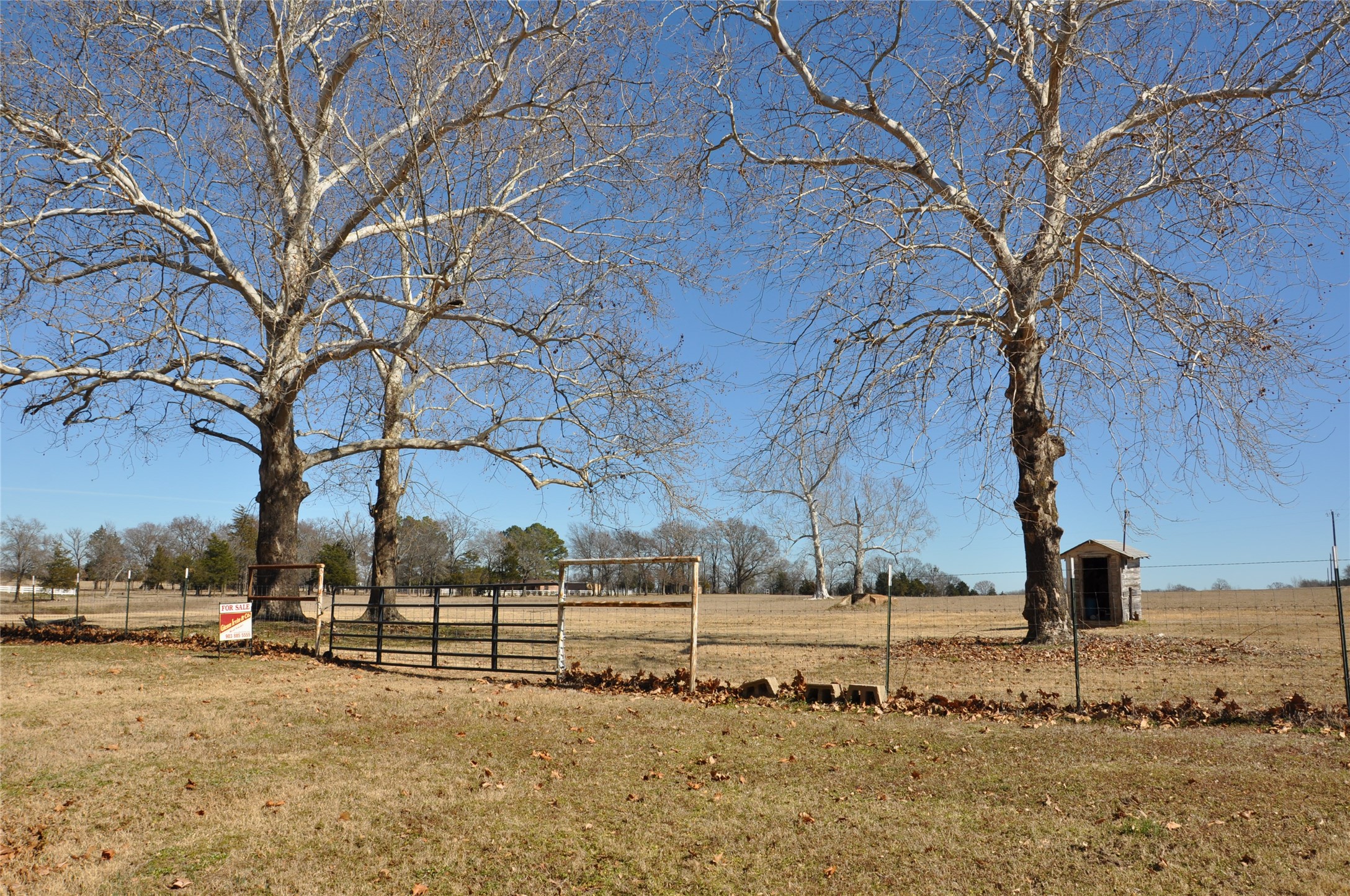 Tbd Cr 2428 Como TX 75431