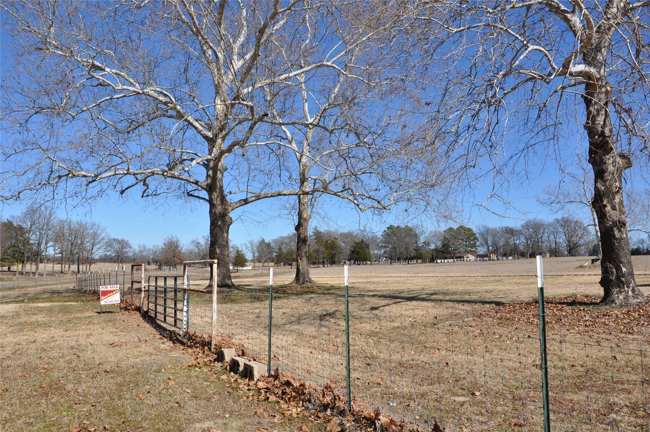 Tbd Cr 2428 Como TX 75431
