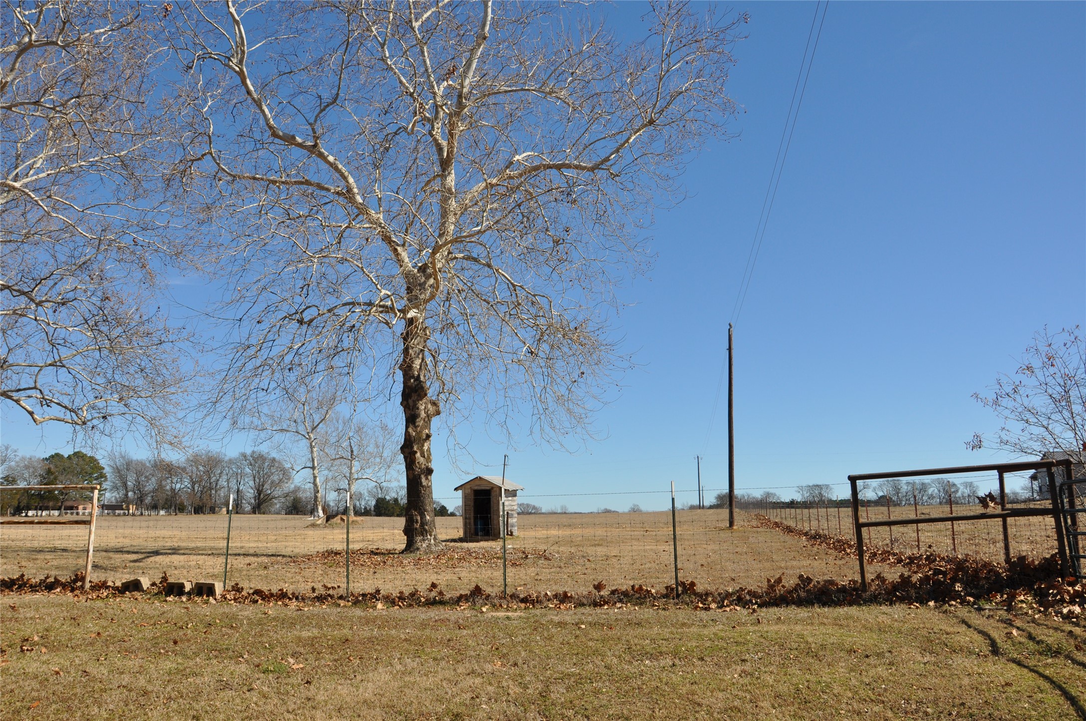 Tbd Cr 2428 Como TX 75431