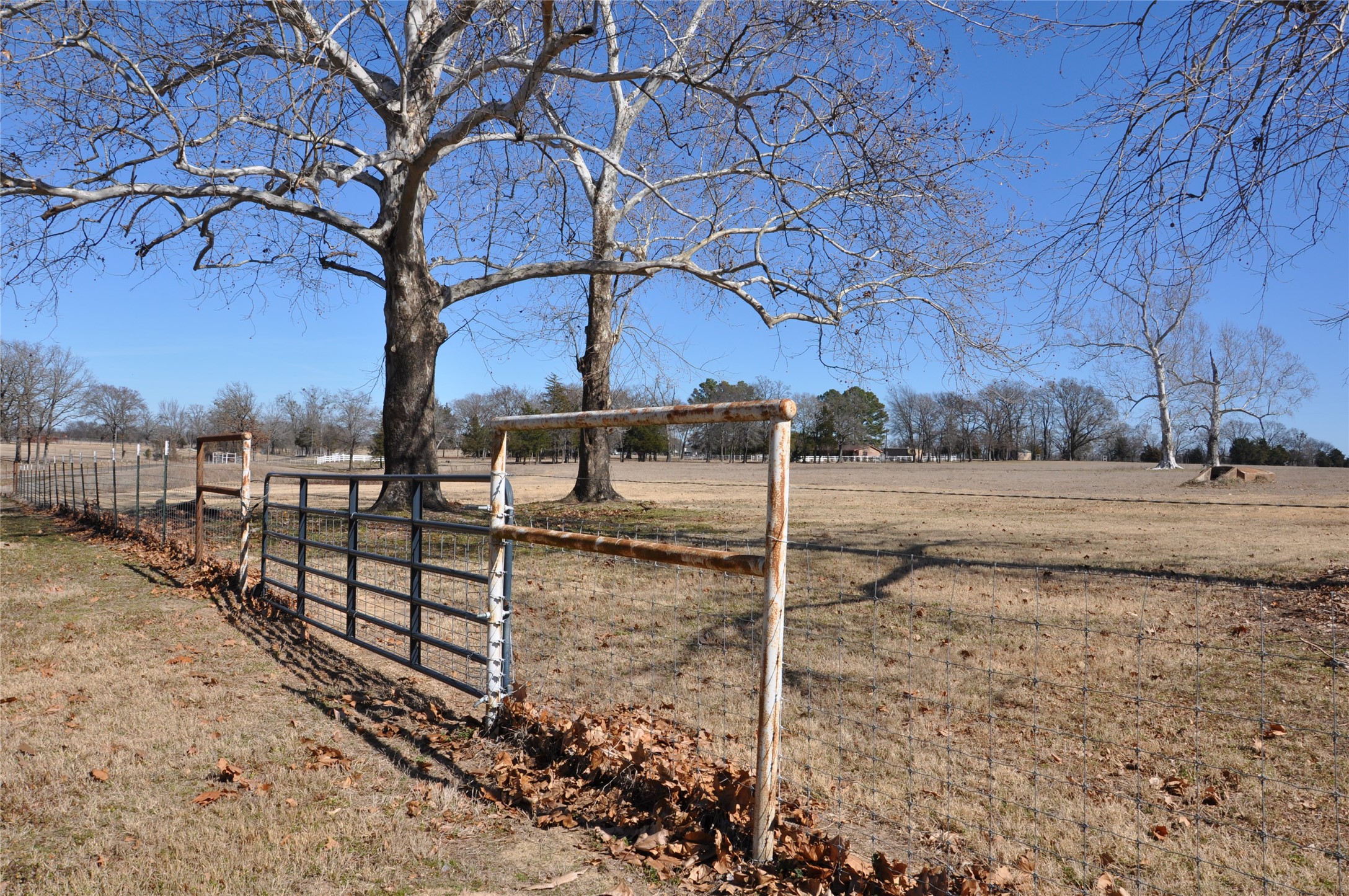 Tbd Cr 2428 Como TX 75431