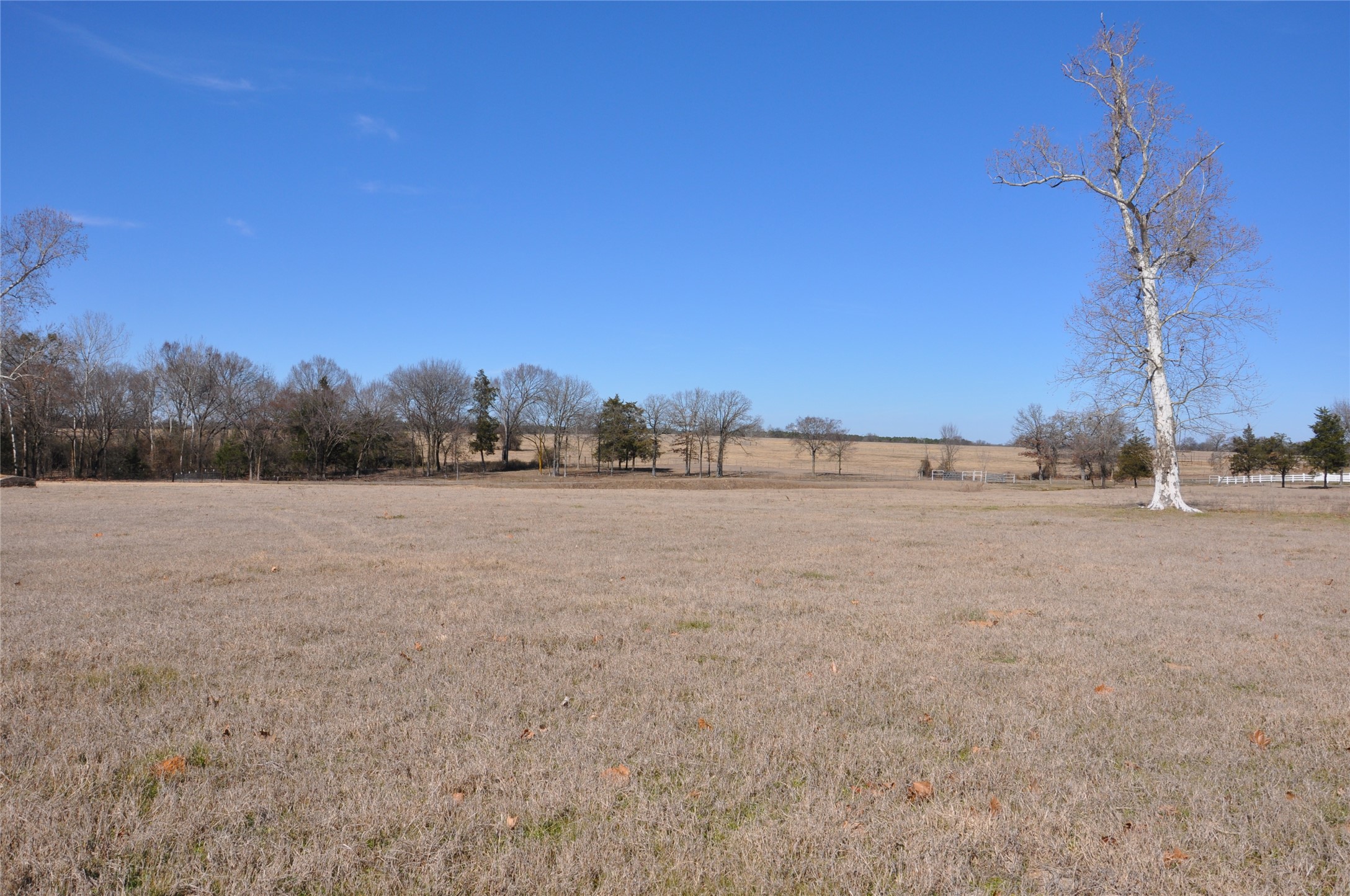 Tbd Cr 2428 Como TX 75431