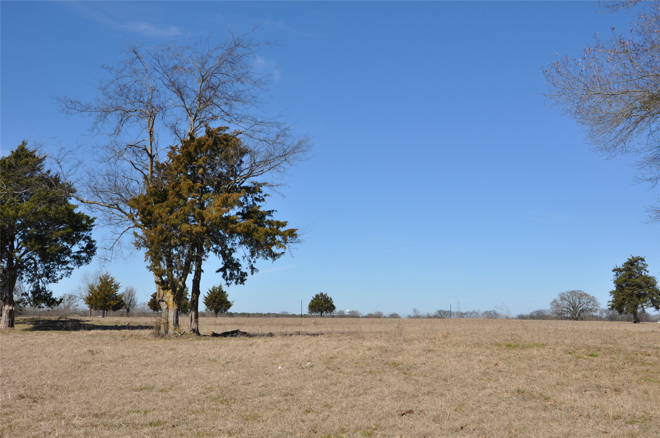 Tbd Cr 2428 Como TX 75431
