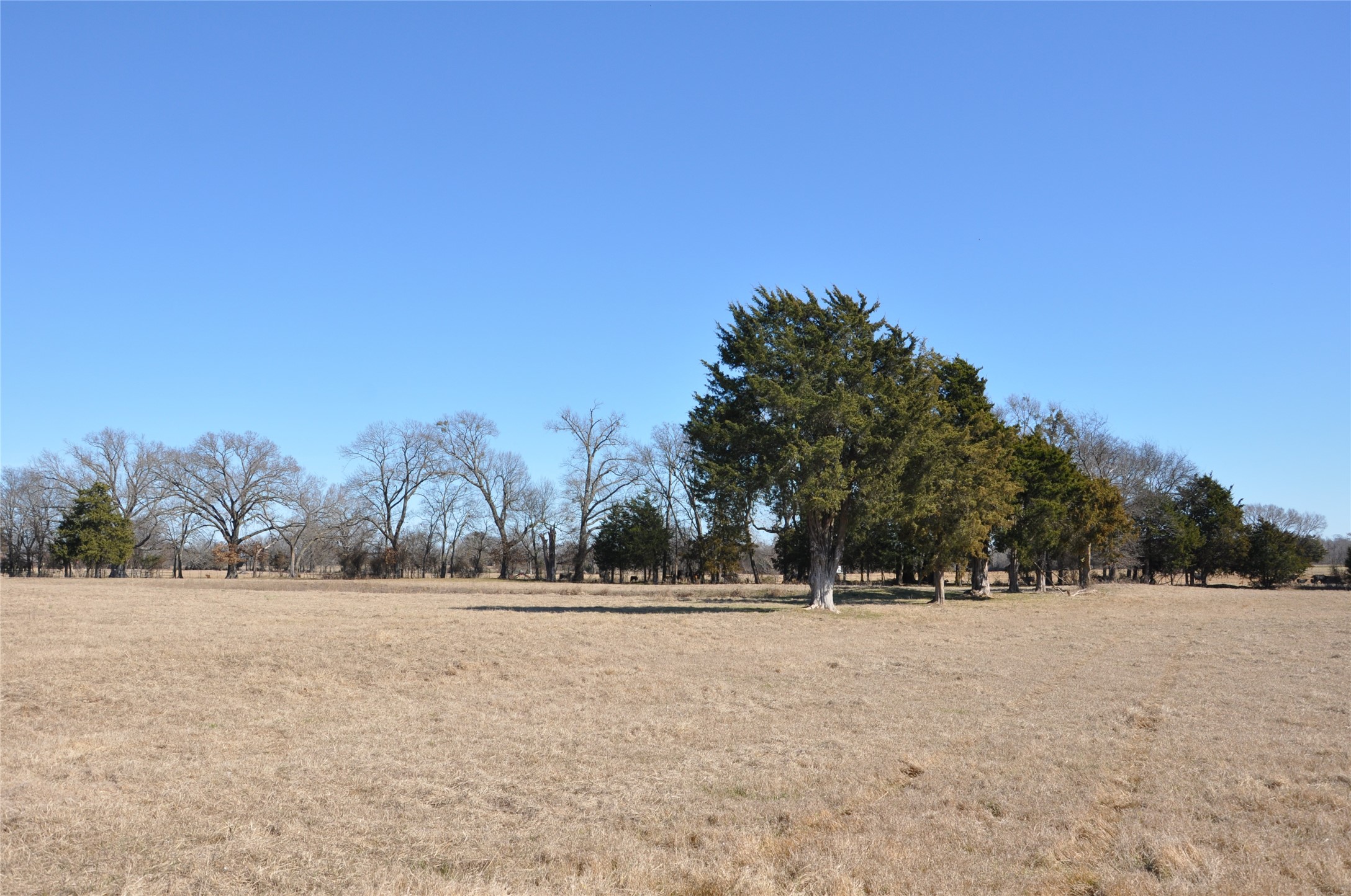Tbd Cr 2428 Como TX 75431