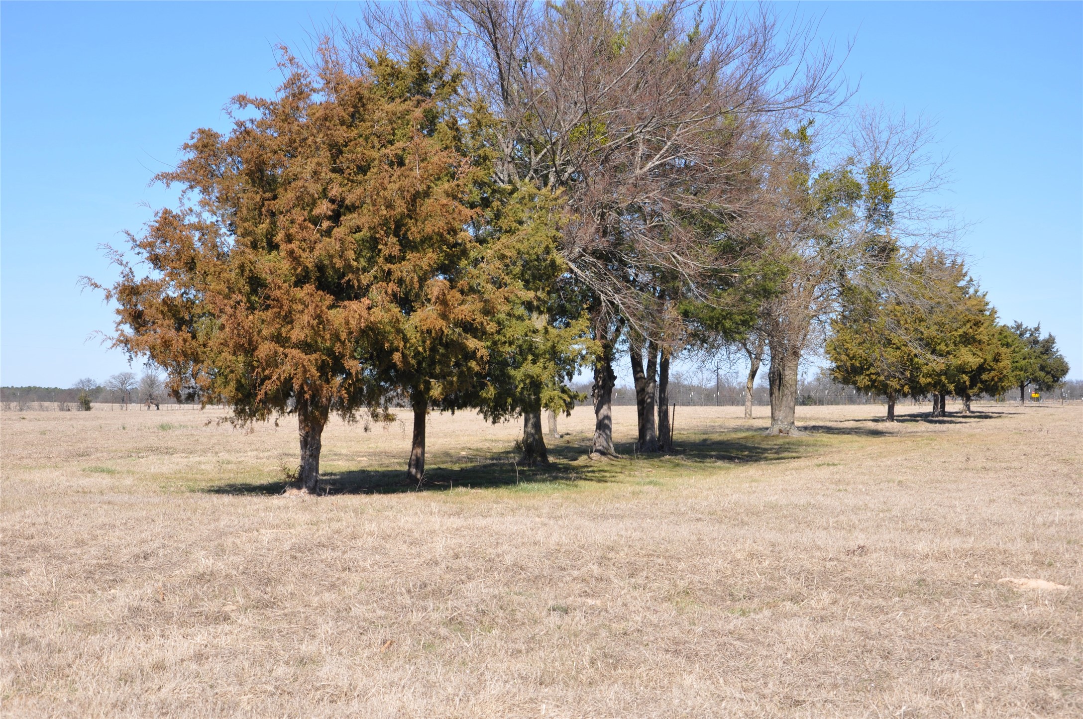 Tbd Cr 2428 Como TX 75431