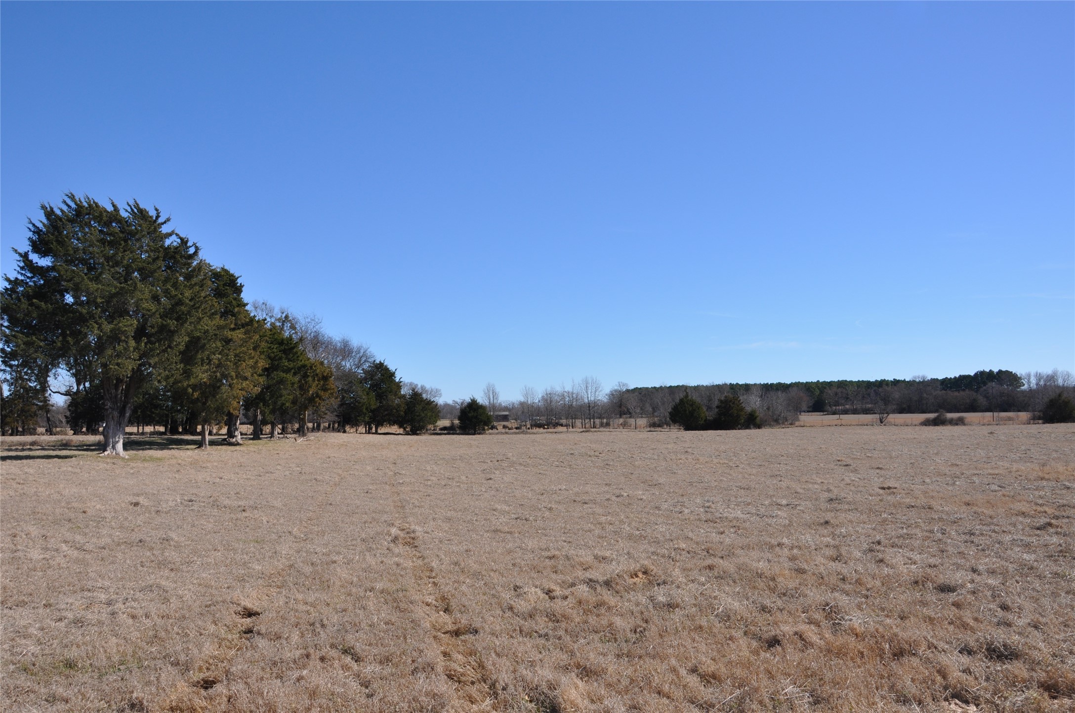 Tbd Cr 2428 Como TX 75431