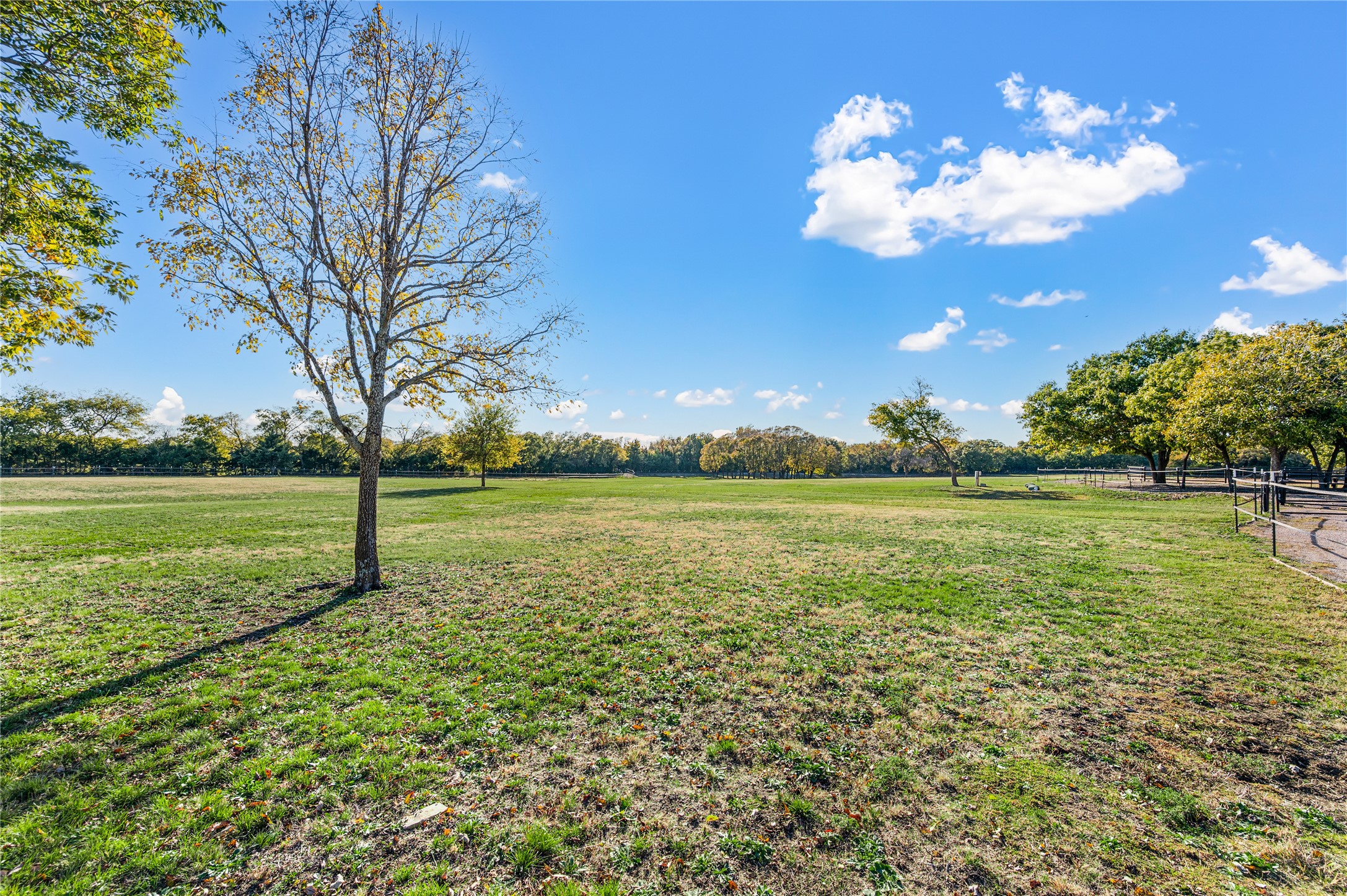520 High Ridge Drive Mckinney TX 75071