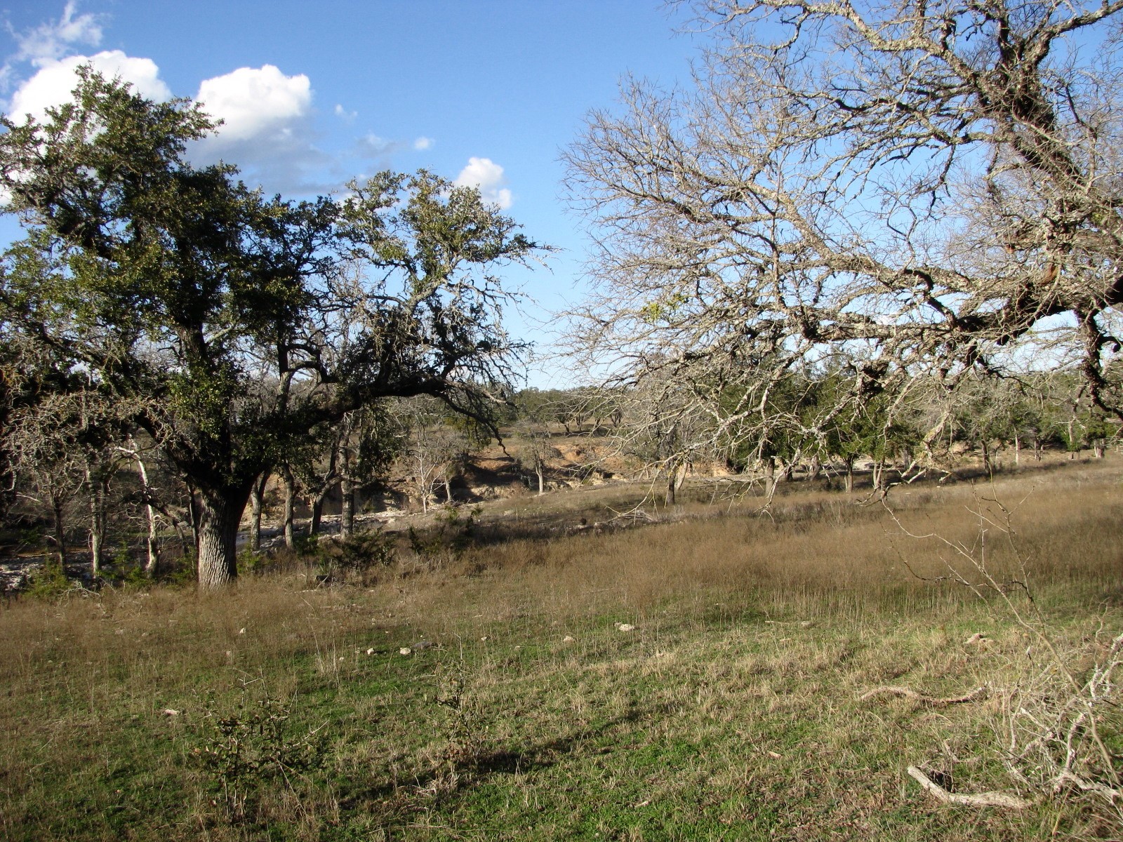 675 Fossil Ridge Court Evant TX 76525