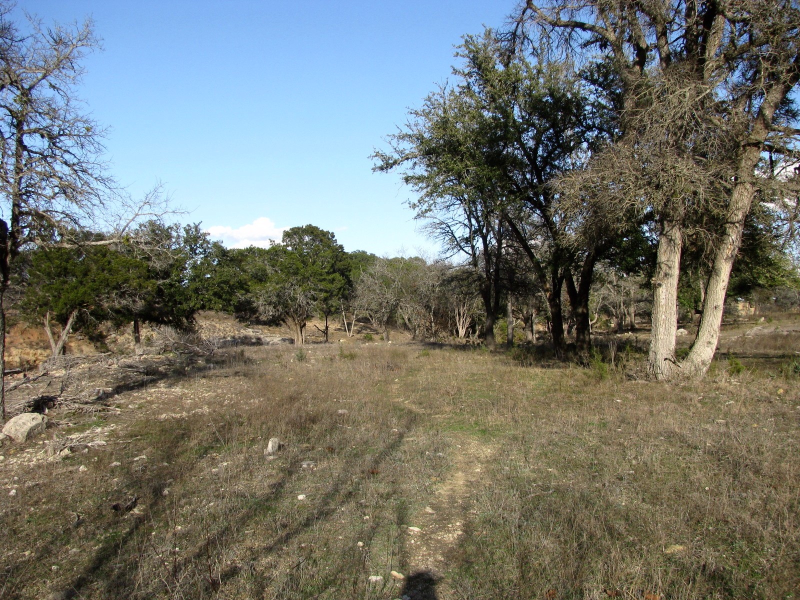 675 Fossil Ridge Court Evant TX 76525
