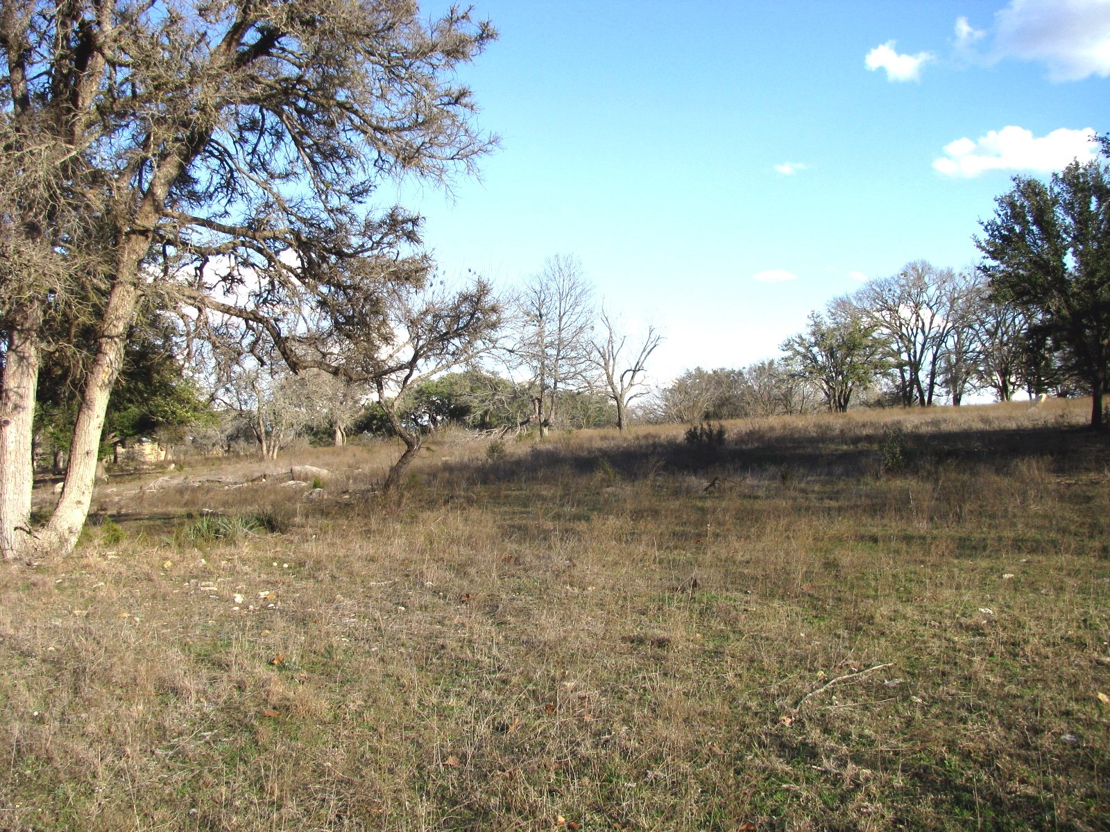 675 Fossil Ridge Court Evant TX 76525