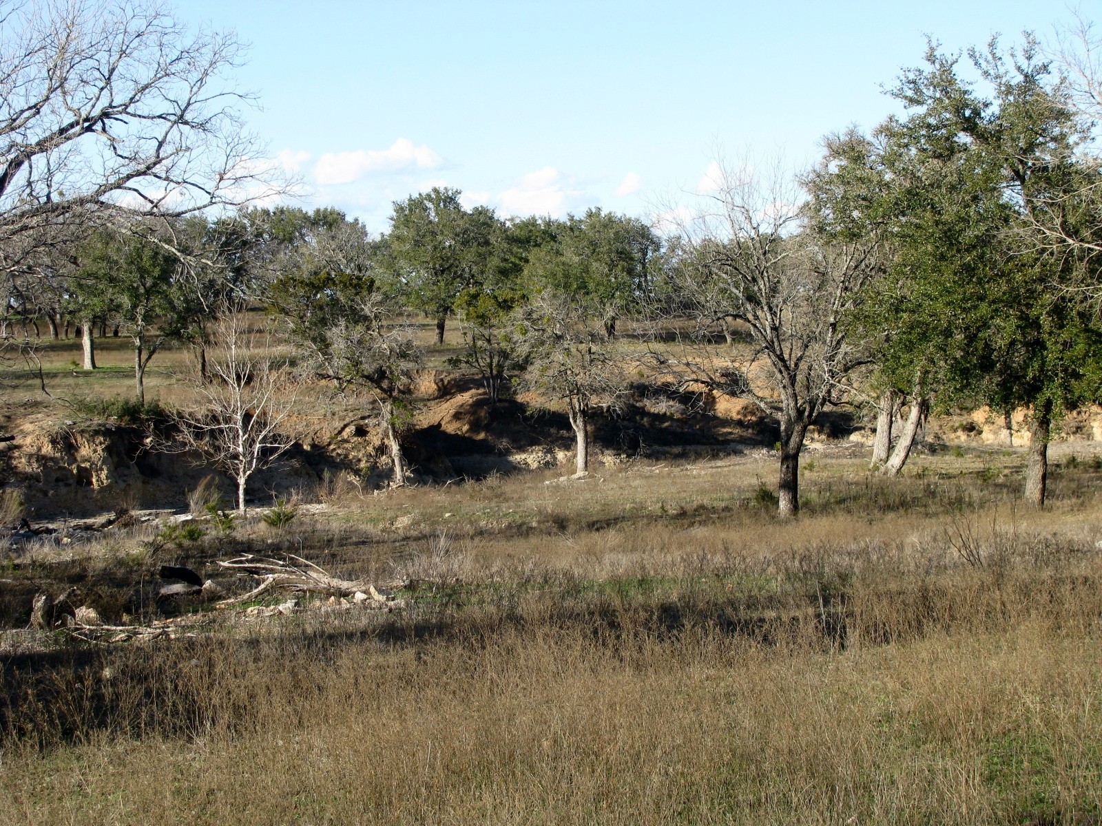 675 Fossil Ridge Court Evant TX 76525