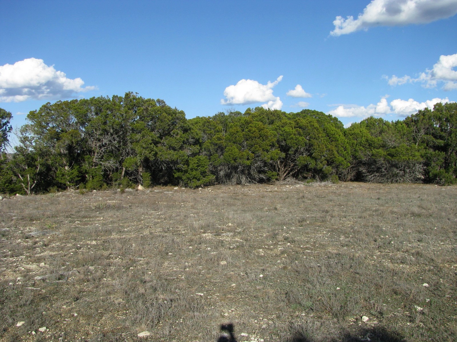 675 Fossil Ridge Court Evant TX 76525