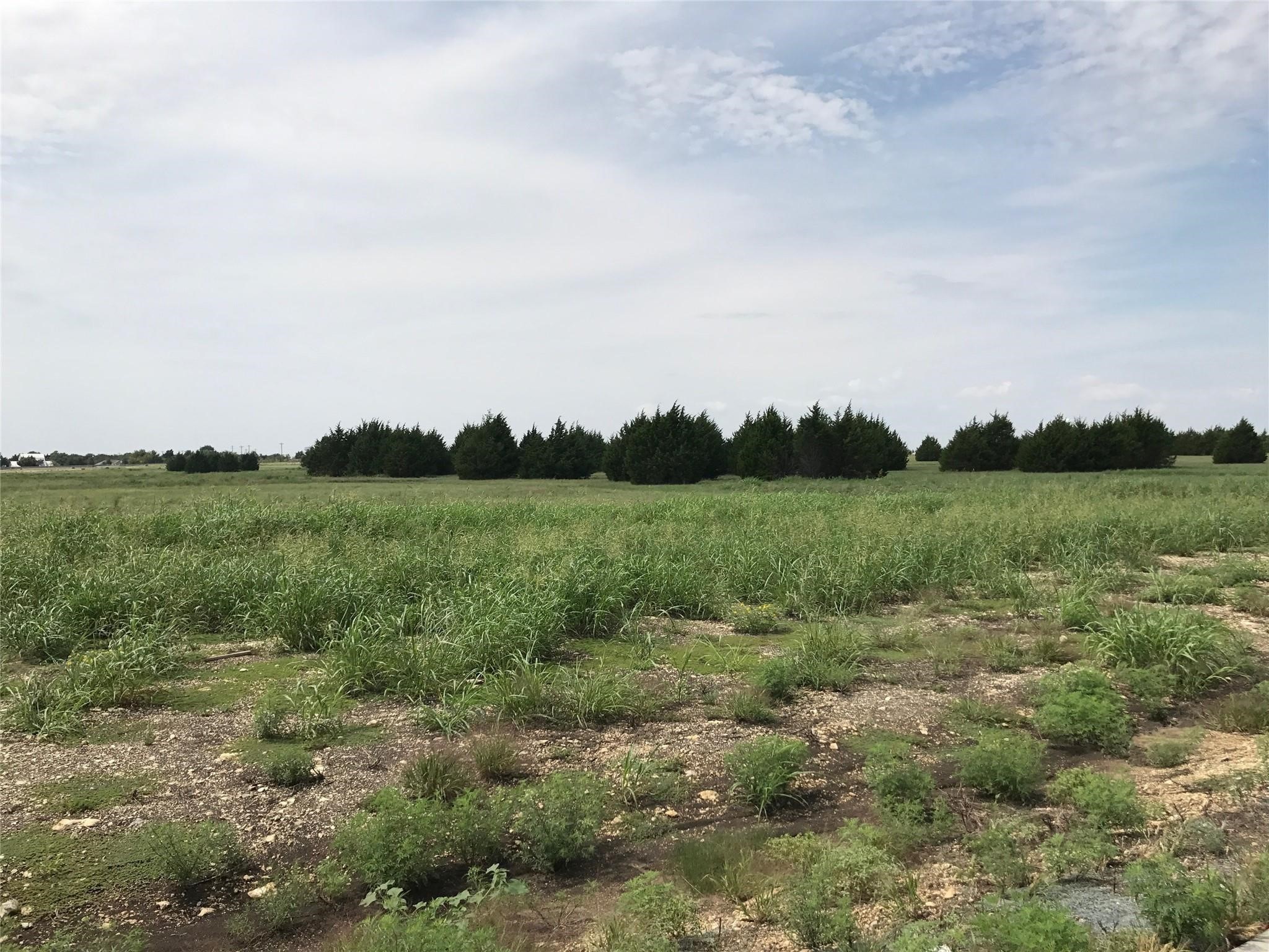 1751 Carroll Moran Trail Midlothian TX 76065