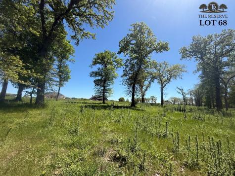 Lot 68 Camden Lane Springtown TX 76082
