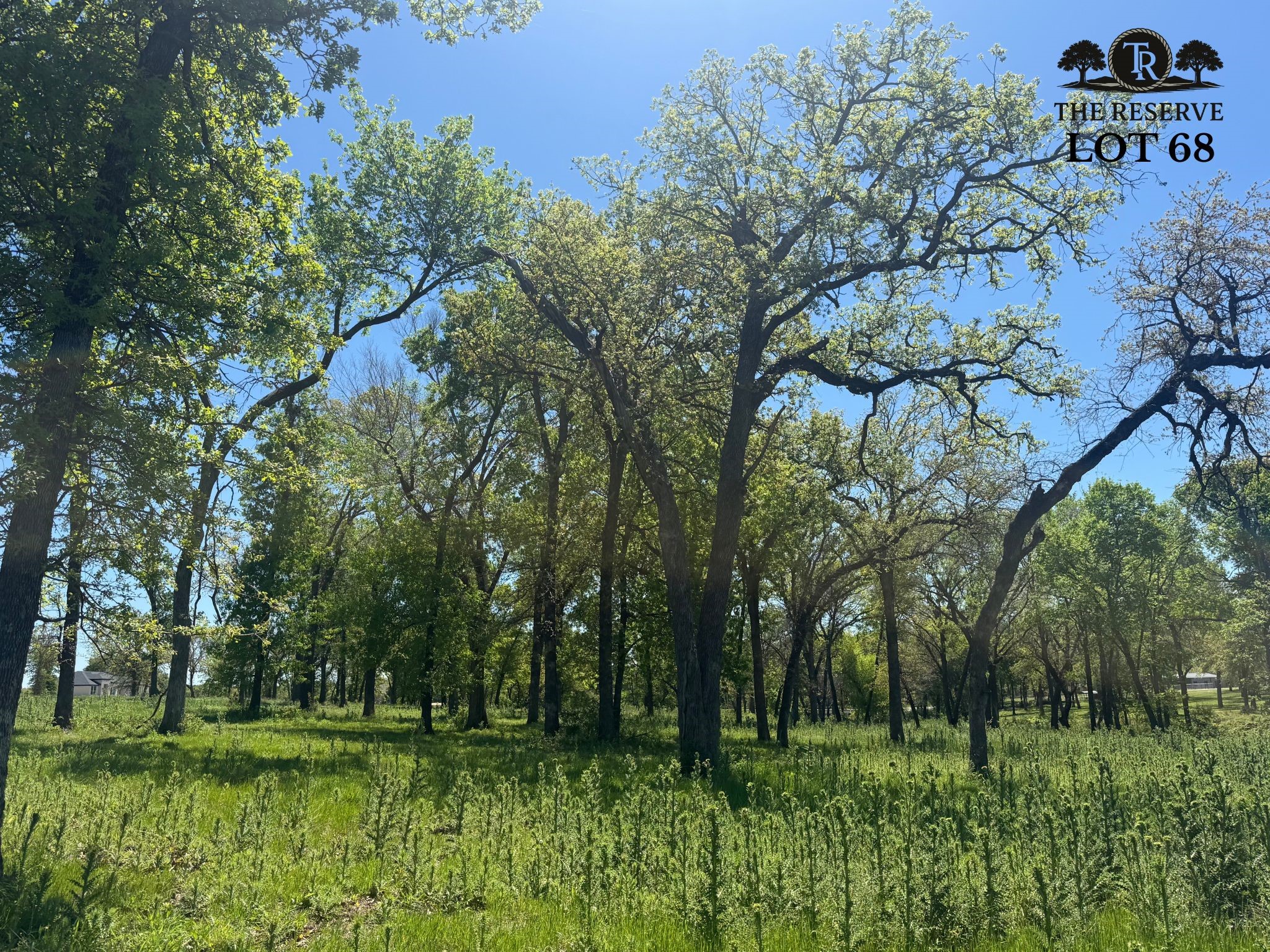 Lot 68 Camden Lane Springtown TX 76082