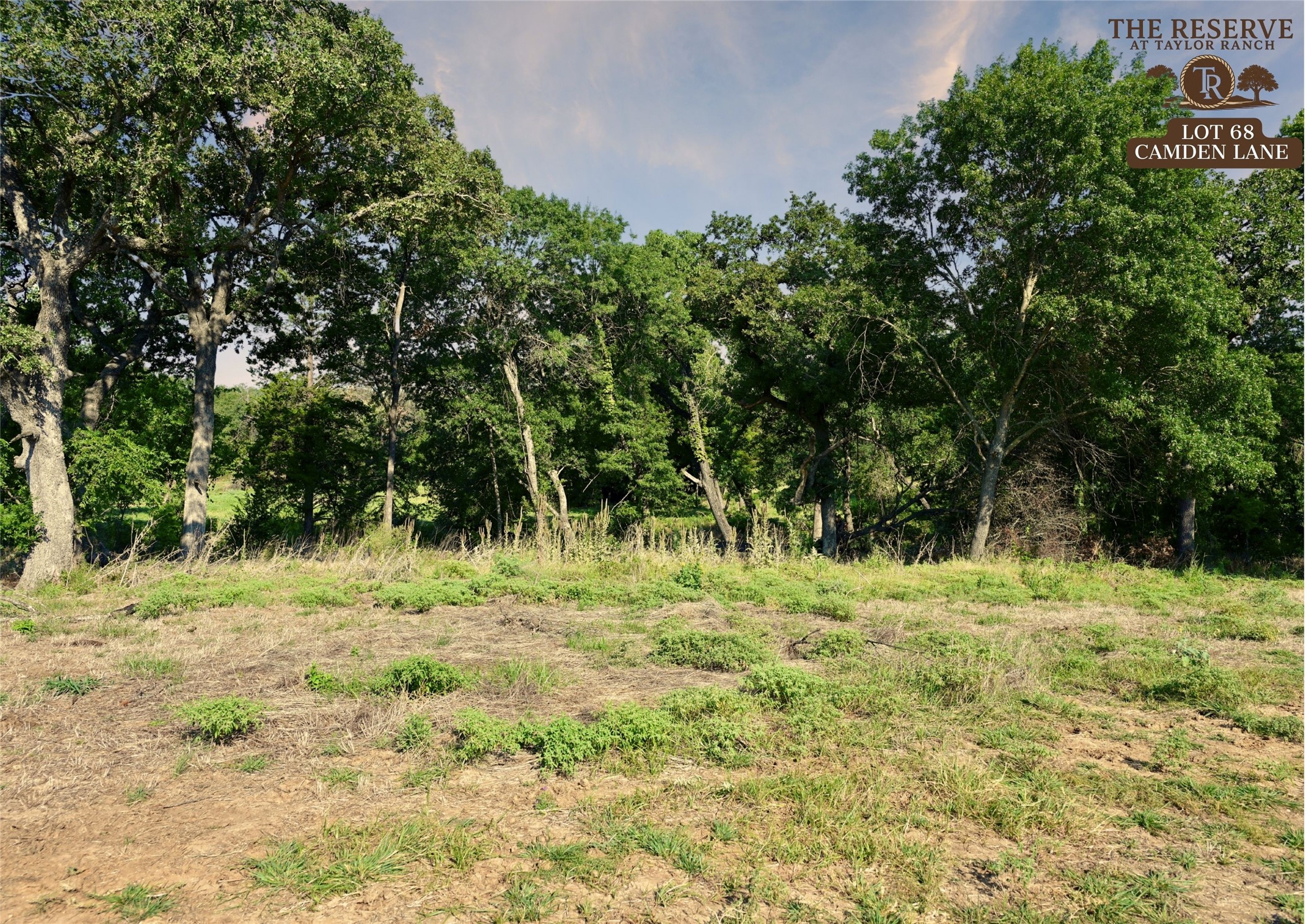 Lot 68 Camden Lane Springtown TX 76082