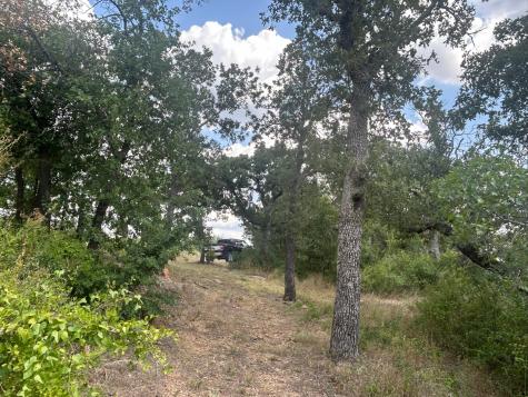 1414 Normandy Drive, Graham, Tx, Usa Graham TX 76450