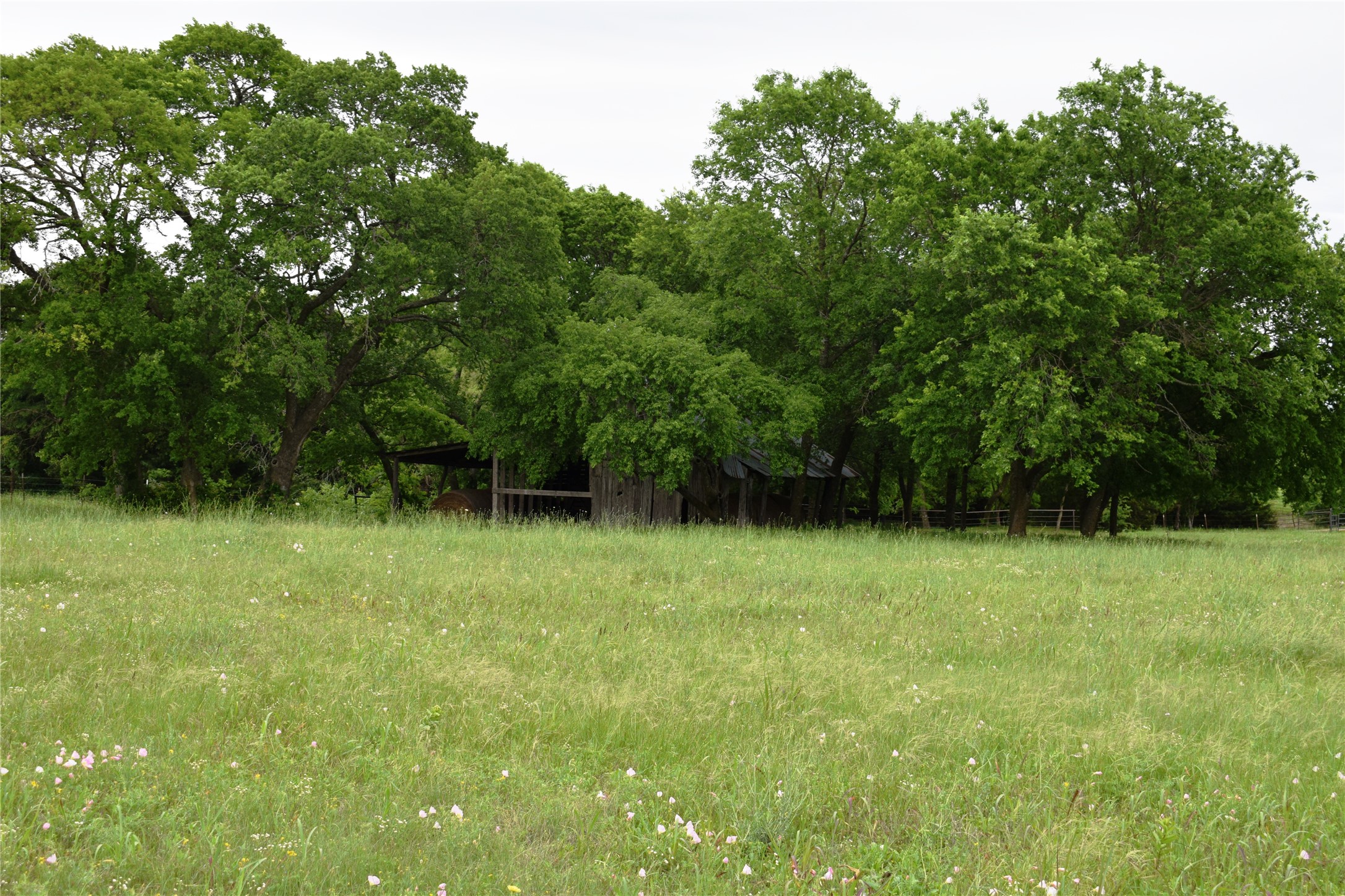 Lot 2 County Road 632 Blue Ridge TX 75424