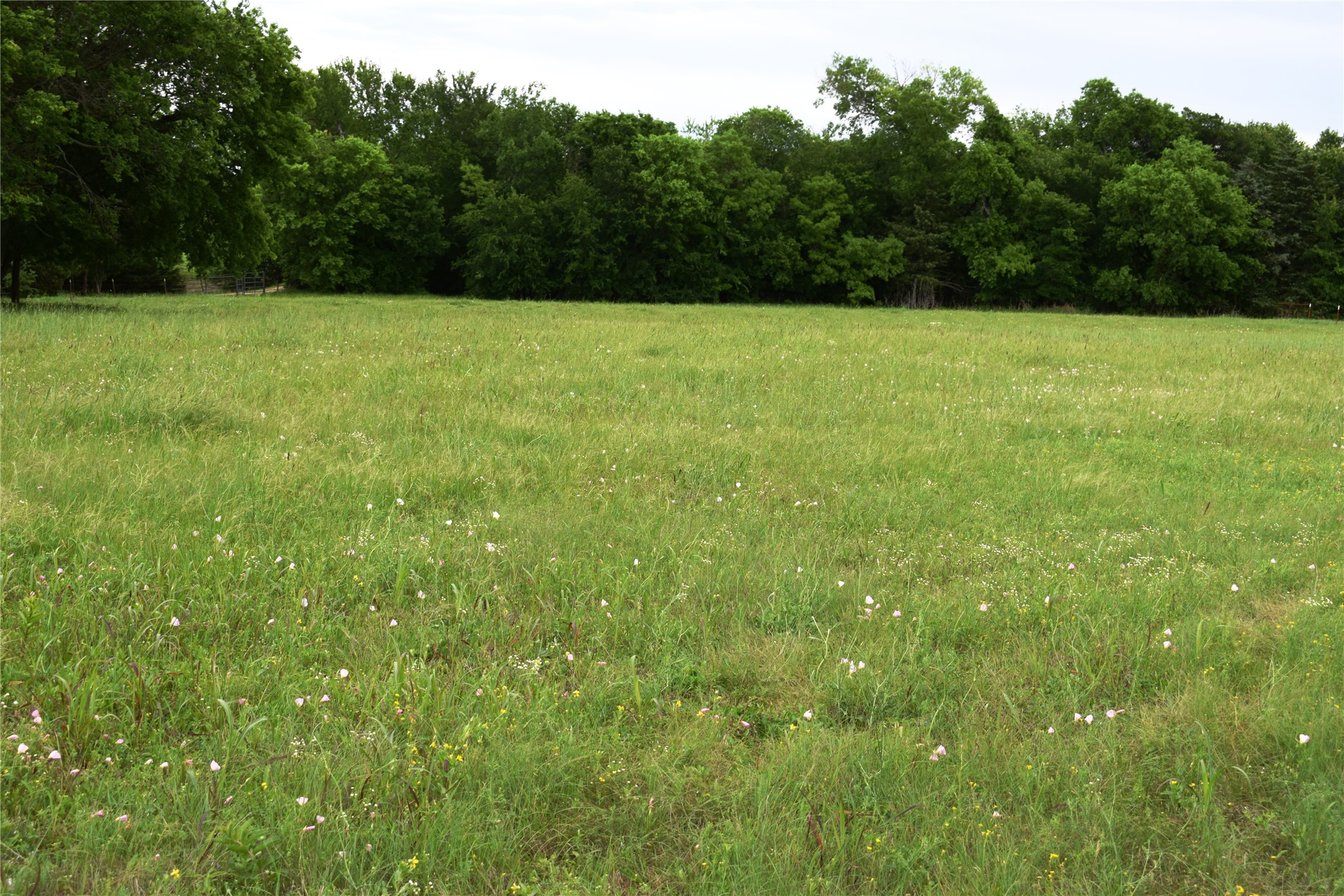 Lot 2 County Road 632 Blue Ridge TX 75424