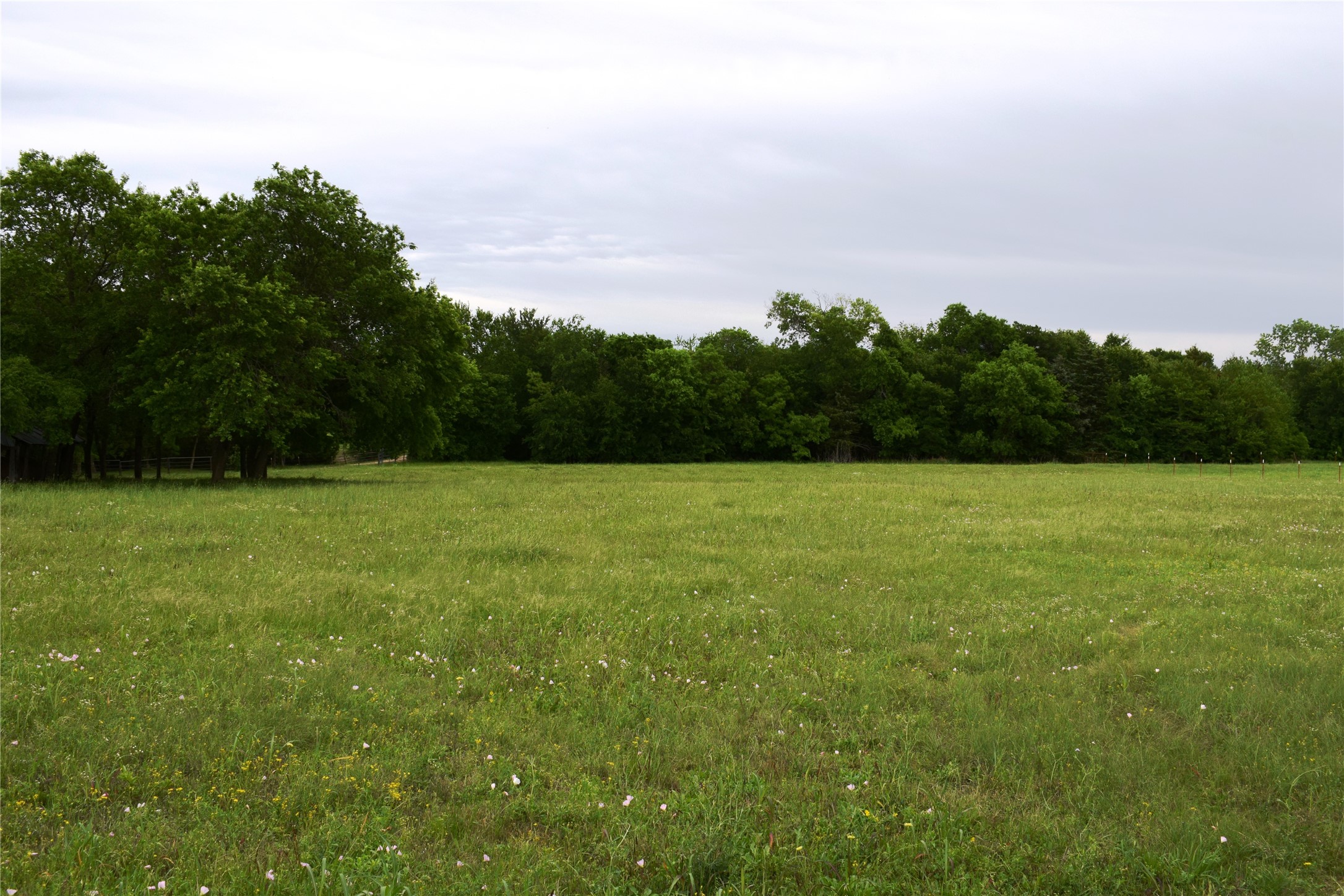 Lot 2 County Road 632 Blue Ridge TX 75424