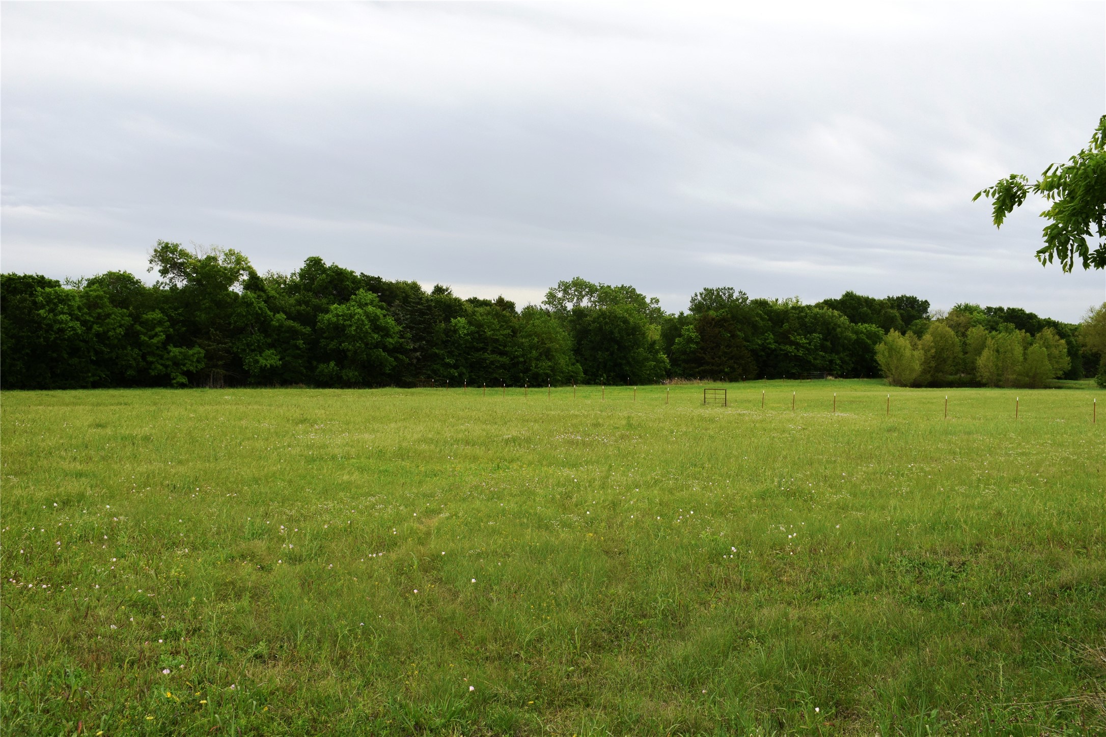 Lot 2 County Road 632 Blue Ridge TX 75424