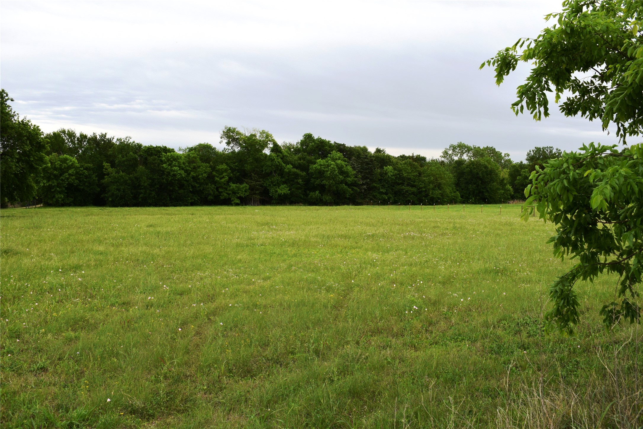 Lot 2 County Road 632 Blue Ridge TX 75424