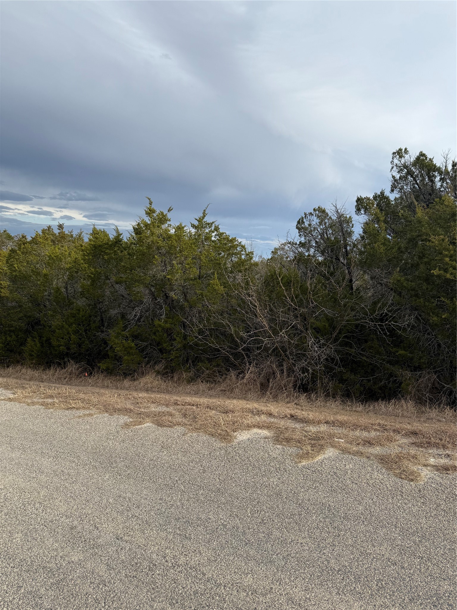 3111 Canadian River Trail Granbury TX 76048