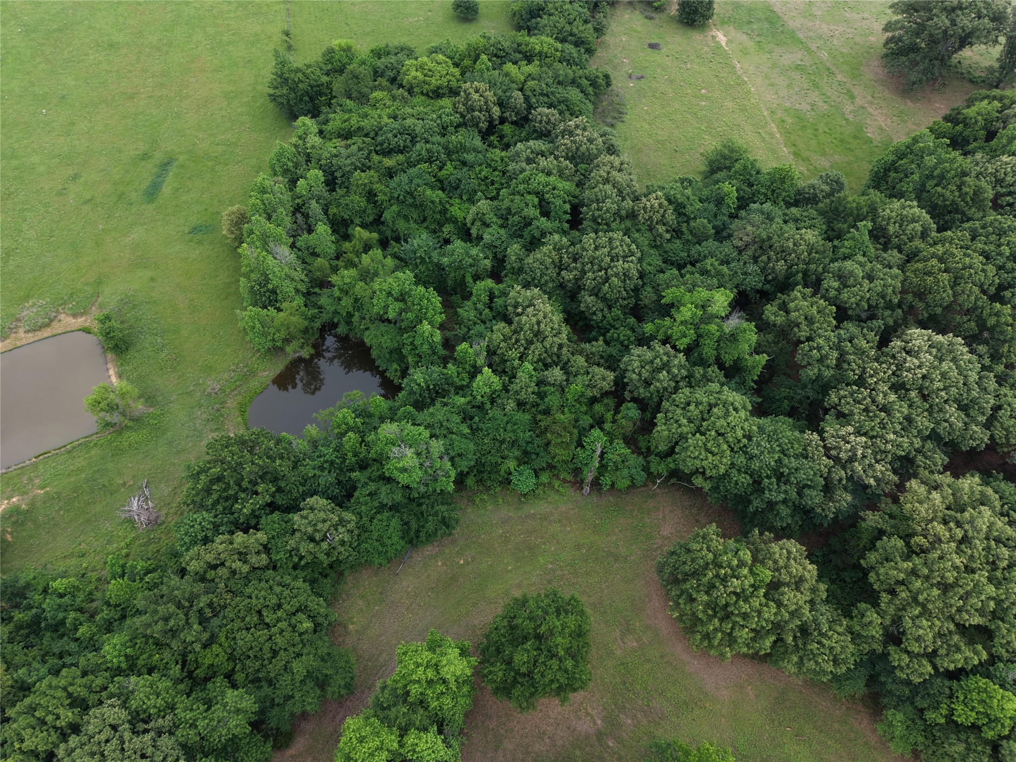 00 County Road 2437 Como TX 75431