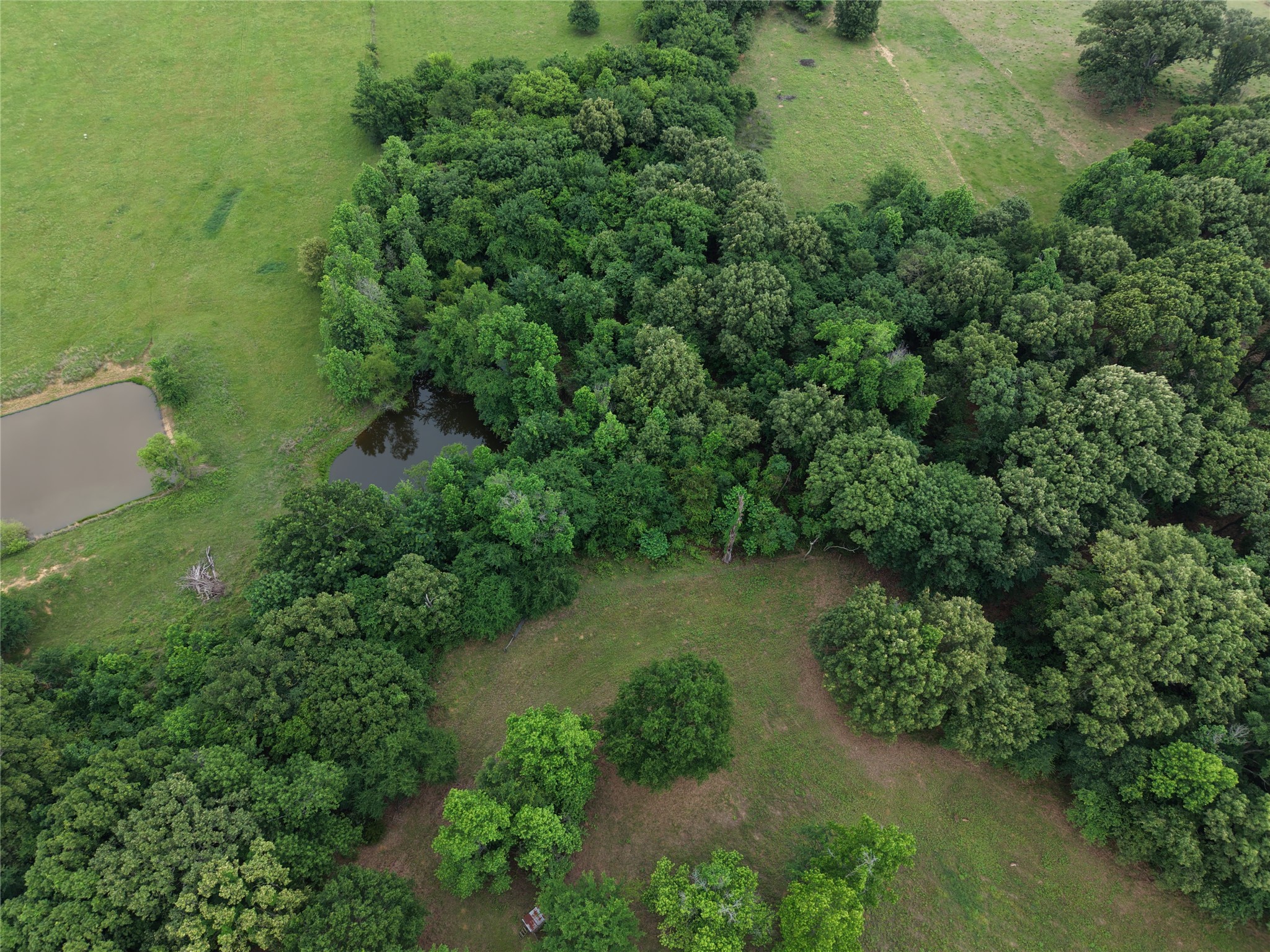 00 County Road 2437 Como TX 75431