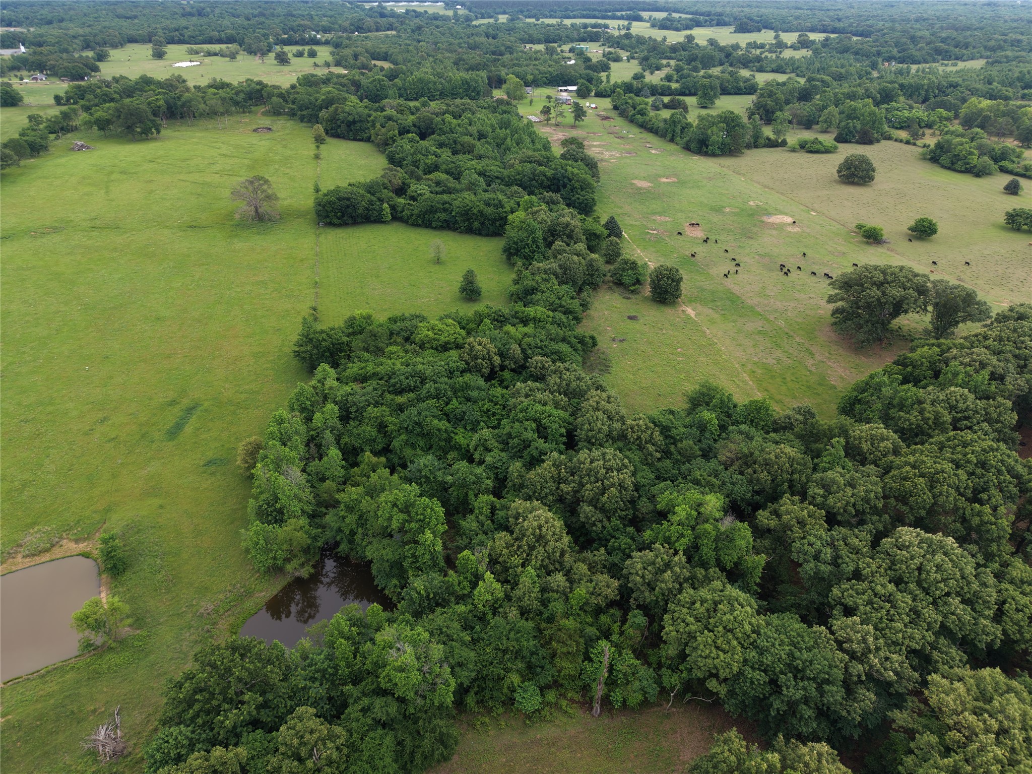 00 County Road 2437 Como TX 75431