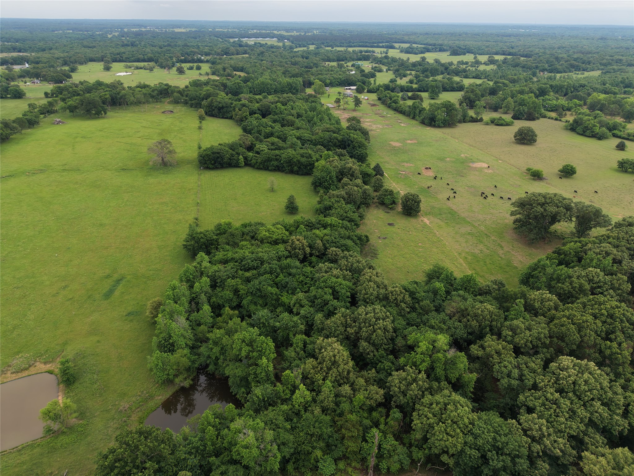 00 County Road 2437 Como TX 75431