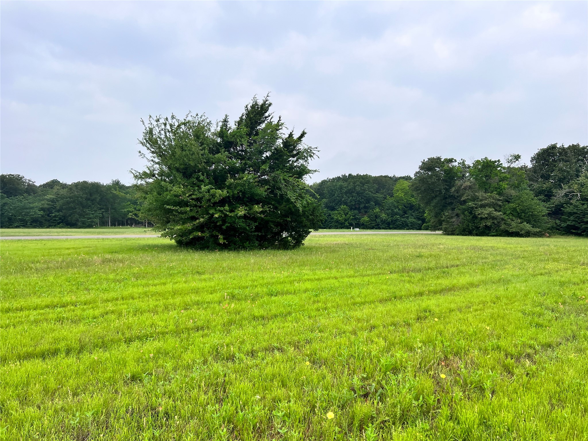 Lot 391 Polaris Drive Corsicana TX 75109