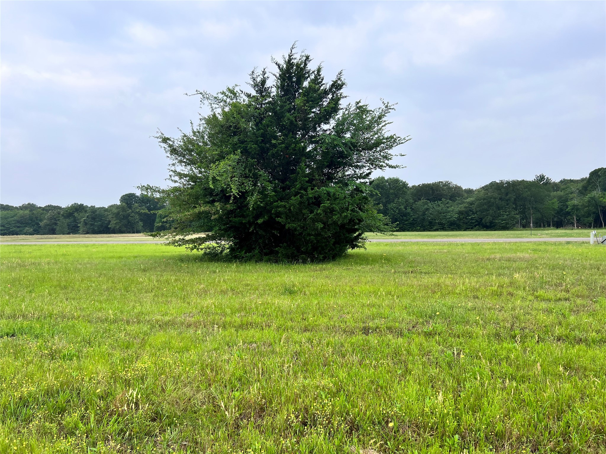 Lot 391 Polaris Drive Corsicana TX 75109