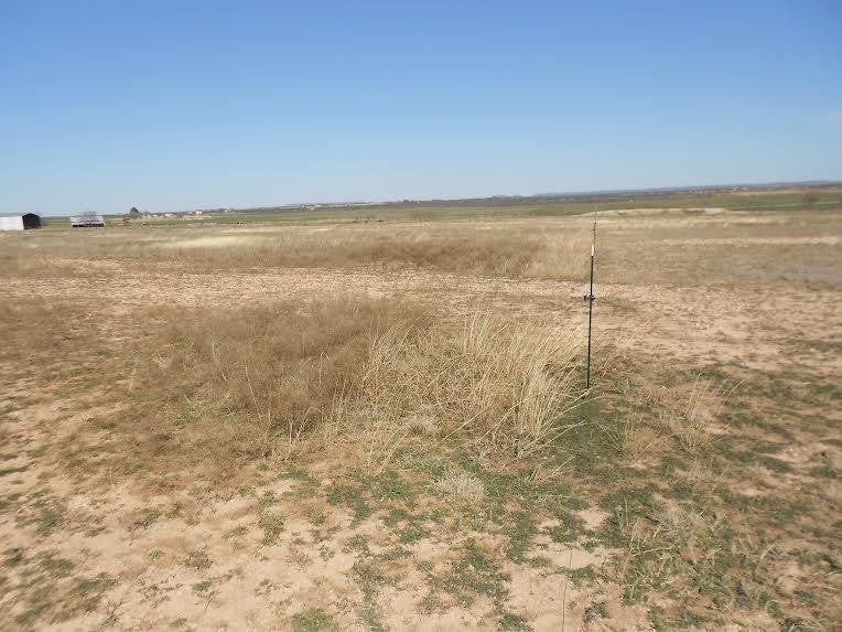 119 County Road 351 Winters TX 79567