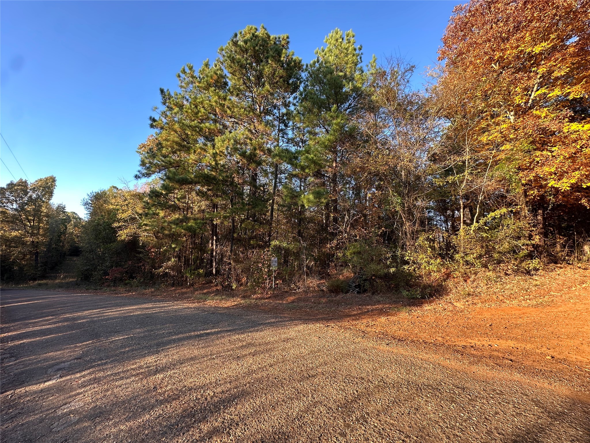0 Co Road 2117 Douglassville TX 75560