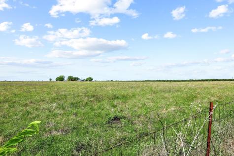 000 Lot 1 Dowell Road Mclendon Chisholm TX 75032