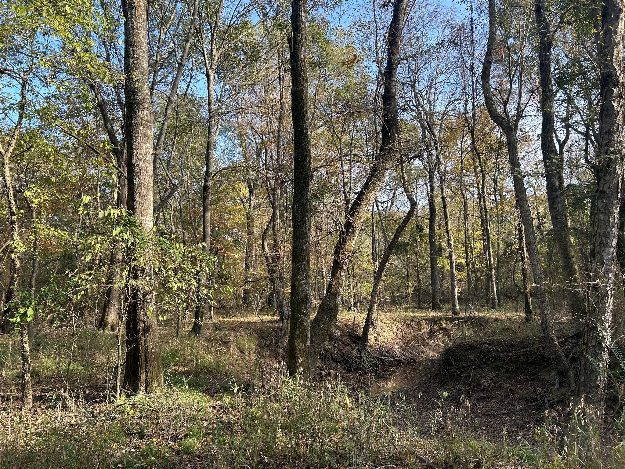 Tbd County Road 1412 Bogata TX 75416